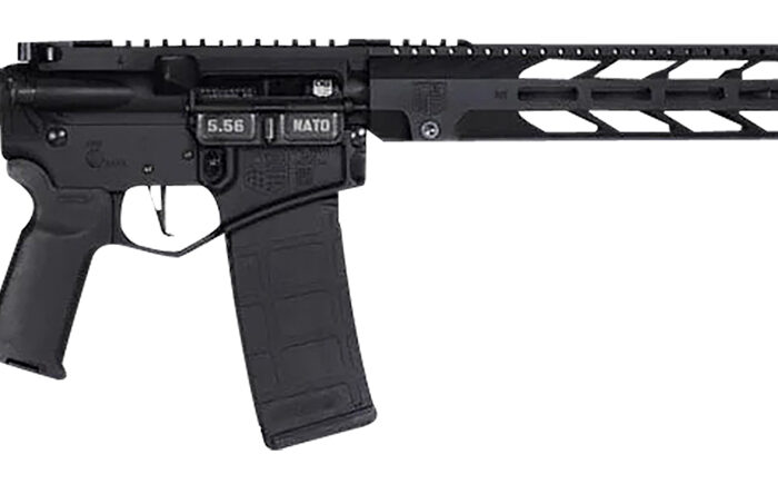 Diamondback DB1874K001 DB15  5.56x45mm NATO 16" 30+1 Black Adjustable Magpul ACS-L Stock Black Magpul MOE-K2+ Grip