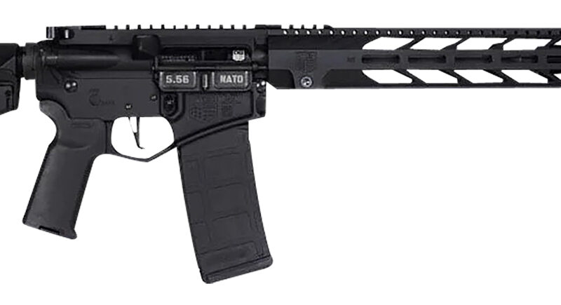 Diamondback DB1874K001 DB15  5.56x45mm NATO 16" 30+1 Black Adjustable Magpul ACS-L Stock Black Magpul MOE-K2+ Grip