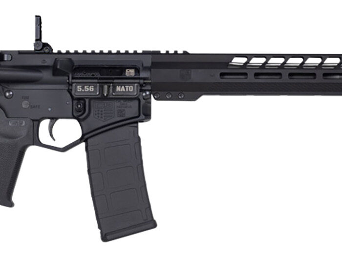 Diamondback DB1836K001 DB15  5.56x45mm NATO 16" 30+1 Black Adjustable Magpul CTR Stock Black Magpul MOE K2 Grip with Black Gold Lower