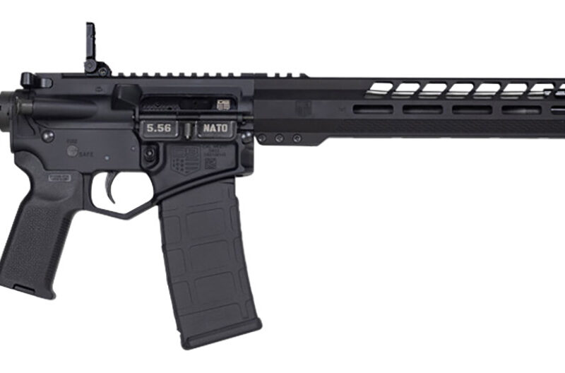 Diamondback DB1836K001 DB15  5.56x45mm NATO 16" 30+1 Black Adjustable Magpul CTR Stock Black Magpul MOE K2 Grip with Black Gold Lower