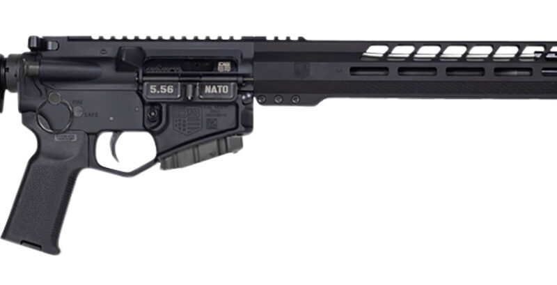 Diamondback DB1791K001 DB15 *CA Compliant 5.56x45mm NATO 16" 10+1 Black Adjustable Magpul CTR Stock Black Magpul MOE K2 Grip with Black Gold Lower