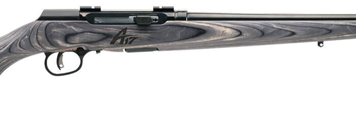 Savage Arms 47801 A17 Sporter Full Size 17 WSM 8+1 22" High Luster Button Rifled Barrel, High Luster Drilled & Tapped Carbon Steel Receiver, Matte Gray Fixed Laminate Stock, Right Hand