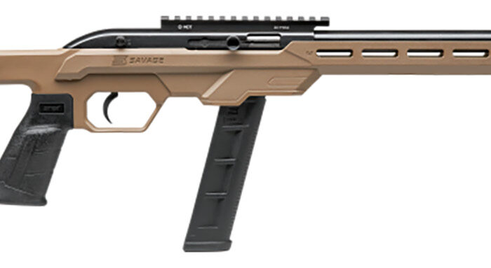 Savage Arms 45125 64 Precision 22 LR Caliber with 20+1 Capacity, 16.50" Threaded Barrel, Matte Black Metal Finish & Chassis Flat Dark Earth Synthetic Stock Right Hand (Full Size)