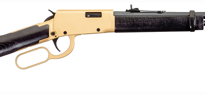 Rossi RL22181WD-GLD2 Rio Bravo  22 LR 15+1 18" Polished Black Barrel, Gold Finish Rec, Black Hardwood Stock