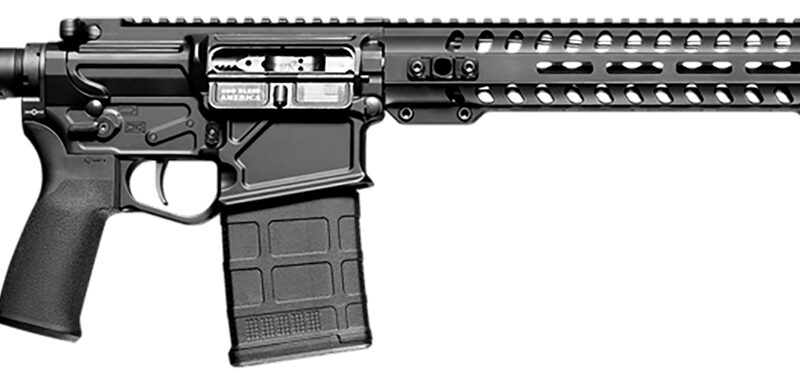 POF 01689 ROGUE       CA DI   16 11M RAIL 308  BLK
