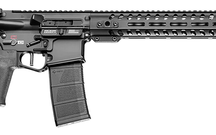 Patriot Ordnance Factory 01165 Renegade + *CA Compliant 5.56x45mm NATO 16.50" 10+1 Black Hard Coat Anodized Rec 14.50" M-Lok Black Nitride Barrel 6 Position MFT Stock Black Polymer MFT Grip
