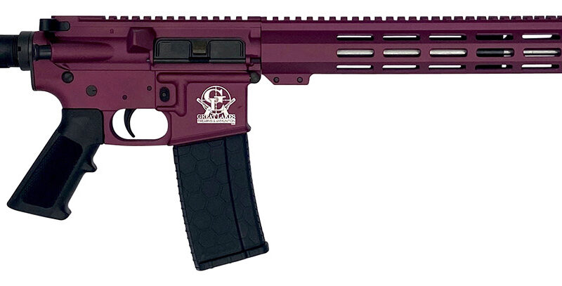 Great Lakes Firearms GL15223SSCHY AR-15  223 Wylde 16" Stainless 30+1, Black Cherry Rec, Black Stock & Grip