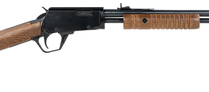 Rossi RP22W201WD Gallery  Full Size 22 WMR 12+1 20" Polished Black Steel Barrel & Receiver, Hardwood Synthetic Fixed Stock
