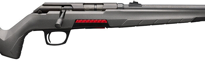 Winchester Repeating Arms 525200102 Xpert  22 LR 10+1 18", Matte Black Barrel/Rec, Gray Fixed Skeletonized Stock, Detachable Mag
