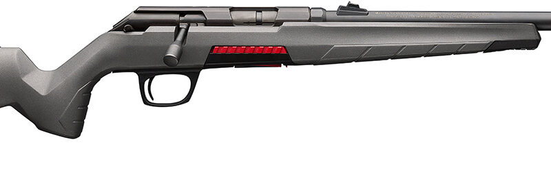 Winchester Repeating Arms 525200102 Xpert  22 LR 10+1 18", Matte Black Barrel/Rec, Gray Fixed Skeletonized Stock, Detachable Mag