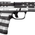 Citadel CITCP9USG Centurion CP9 Compact 9mm Luger 14+1 4" Black Steel Barrel, American Flag Gray Cerakote Optic Ready/Serrated Slide, Polymer Frame & Grip 2 151423