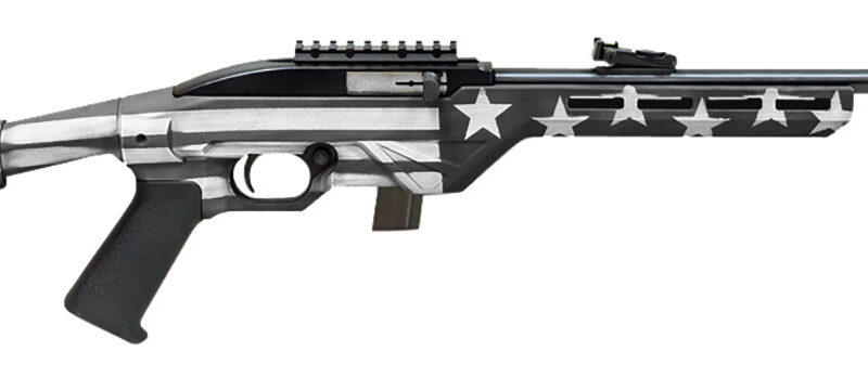 Citadel CIT22LRBUSG Trakr  22 LR 10+1 18" Blued Steel Threaded Barrel & Receiver, Gray Flag Synthetic Stock