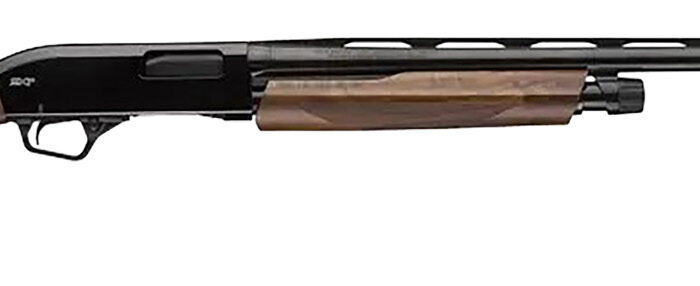 Winchester Repeating Arms 512451691 SXP High Grade Field 20 Gauge 3" Chamber 5+1 (2.75") 26", Gloss Blued Barrel/Rec, High Grade Turkish Walnut Furniture, TruGlo Fiber Optic Sight
