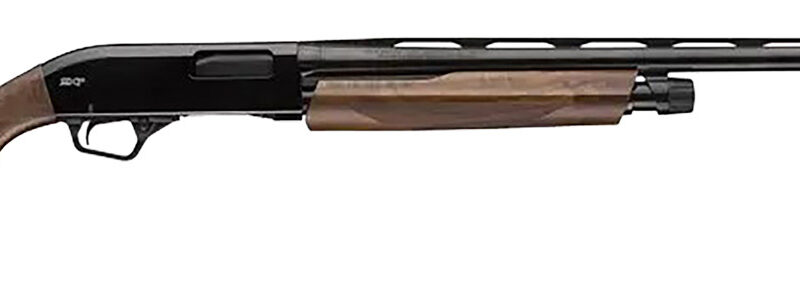 Winchester Repeating Arms 512451691 SXP High Grade Field 20 Gauge 3" Chamber 5+1 (2.75") 26", Gloss Blued Barrel/Rec, High Grade Turkish Walnut Furniture, TruGlo Fiber Optic Sight