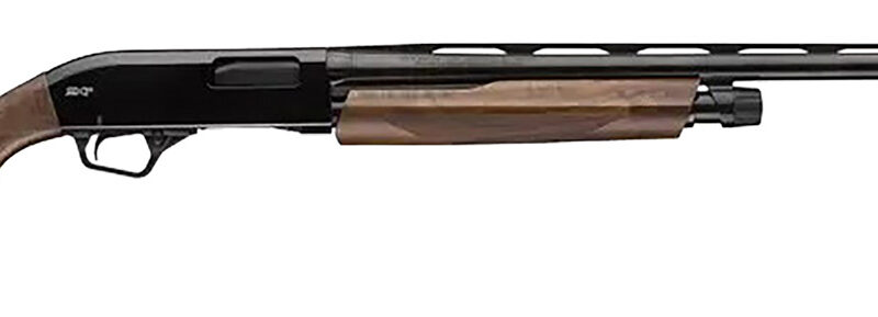 Winchester Repeating Arms 512451692 SXP High Grade Field 20 Gauge 3" Chamber 5+1 (2.75") 28", Gloss Blued Barrel/Rec, High Grade Turkish Walnut Furniture, TruGlo Fiber Optic Sight