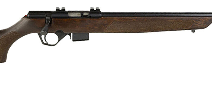 Rossi RB22W2111WD RB22  Full Size 22 WMR 5+1 21" Blued Steel Barrel, Blued Weaver Scope Mount Steel Receiver, Hardwood Monte Carlo Stock