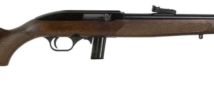 Rossi RS22L1811WD RS22  Full Size 22 LR 10+1 18" Matte Black Steel Barrel, Matte Black Receiver, Fixed Hardwood Stock