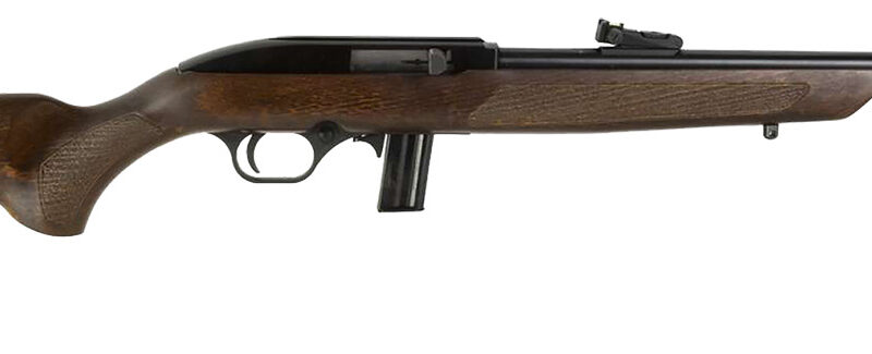 Rossi RS22L1811WD RS22  Full Size 22 LR 10+1 18" Matte Black Steel Barrel, Matte Black Receiver, Fixed Hardwood Stock