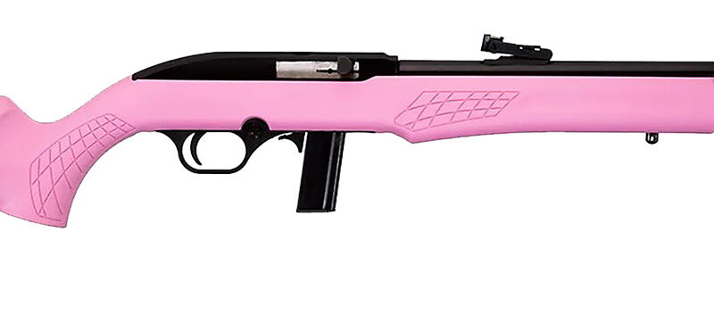 Rossi RS22L1811P RS22  Full Size 22 LR 10+1 18" Matte Black Steel Barrel, Matte Black Grooved Aluminum Receiver, Pink Synthetic Fixed Stock