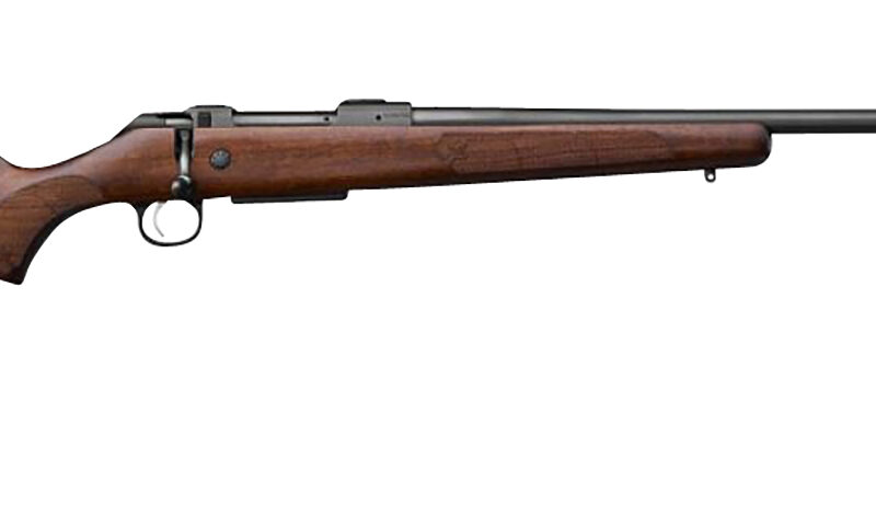 CZ-USA 07701 CZ 600 American ST1 223 Rem 5+1 24" Threaded, Black Barrel/Rec, Grade A Dark Walnut Stock, Adj. Trigger