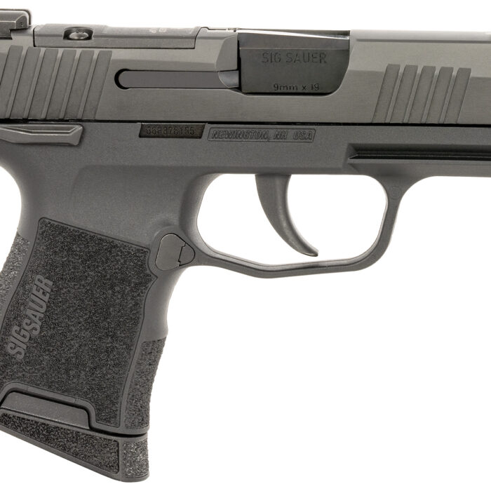 SIG 3659BXR3PMSCA P365 9MM 3.1 OR MS 10R*CA*