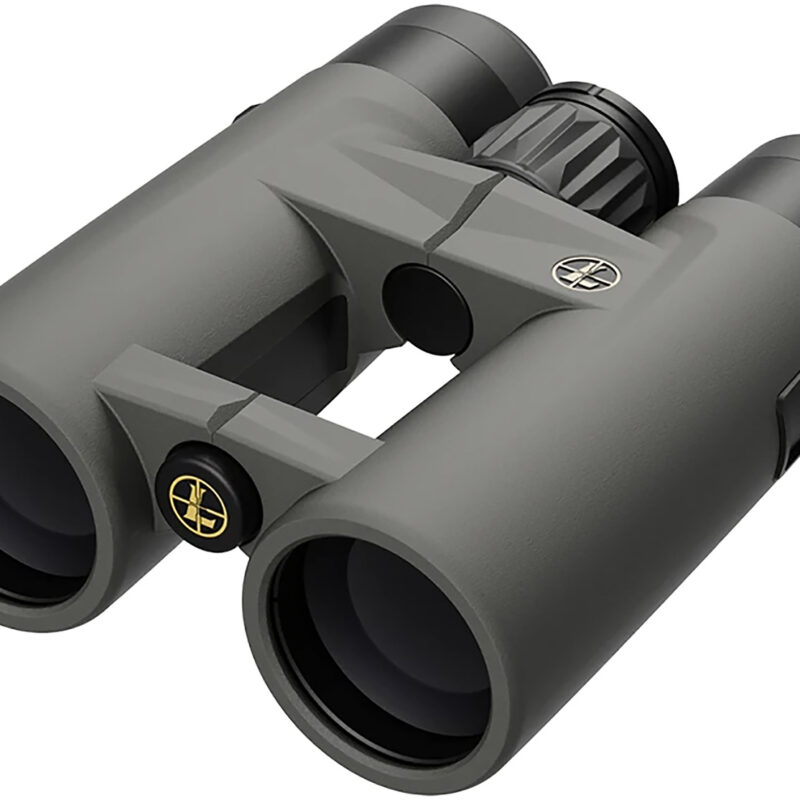Leupold 184761 BX-4 Pro Guide HD Gen2 10x42mm Roof Prism Black Armor Coated