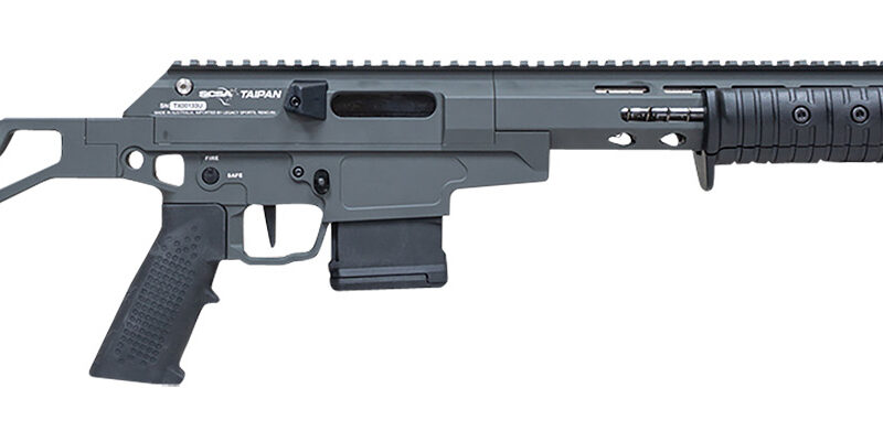 Citadel CITTPN223GRY Taipan X Pump Action 223 Wylde 10+1 16.50" Stainless Threaded, Dark Gray, M-Lok Handguard, Chassis with Skeletonized Stock, A2 Style Grip, Flat-Face Trigger