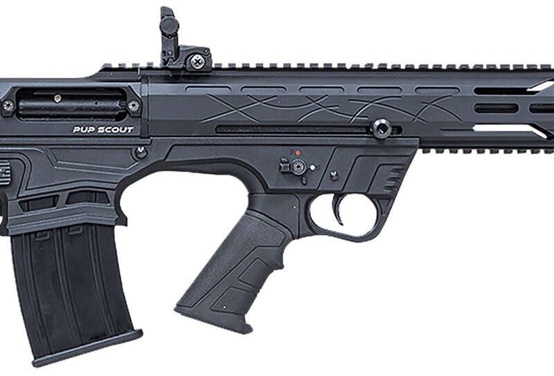 Citadel FRPS1218 Pup Scout  12 Gauge Semi-Auto 3" 5+1 18.50" Black Steel Barrel, Black Picatinny Rail Aluminum Receiver, Picatinny Handguard, Black Adj Cheek Riser Synthetic Stock