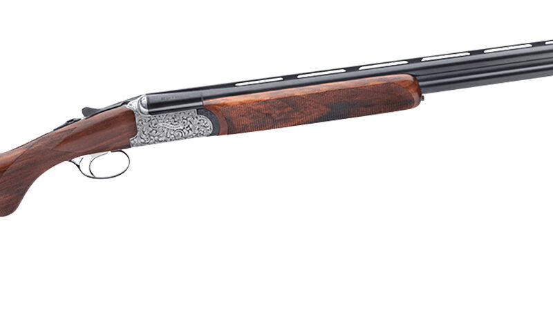 Rizzini USA 41011629 Round Body EM Full Size 16 Gauge Break Action 2rd 29" Vent Rib Barrel, Coin Anodized Silver Receiver, Fixed w/Prince of Whales Grip Grade III Turkish Walnut Stock