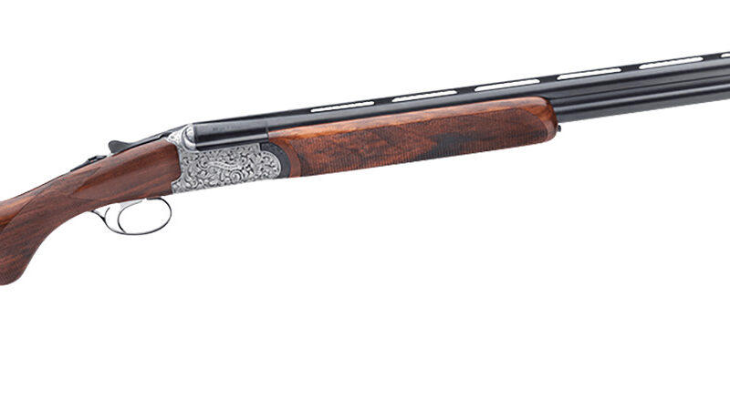 Rizzini USA 41012029 Round Body EM Full Size 20 Gauge Break Action 2rd 29" Vent Rib Barrel, Coin Anodized Silver Receiver, Fixed w/Prince of Whales Grip Grade III Turkish Walnut Stock