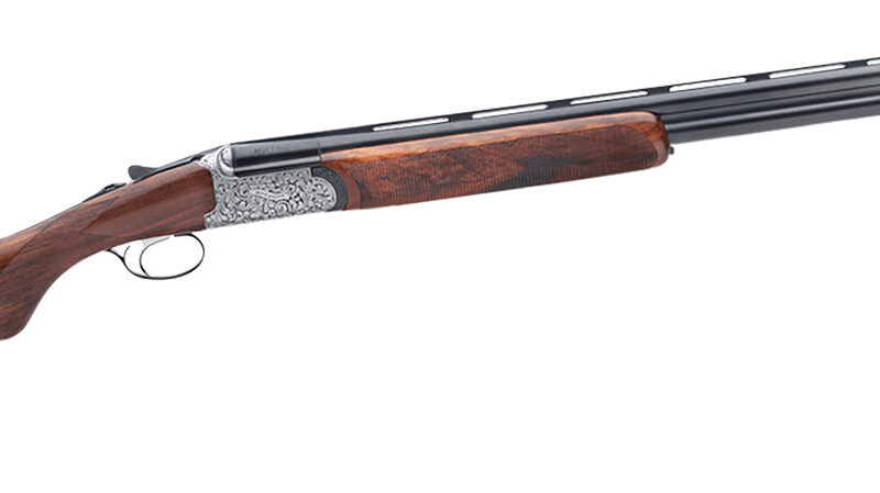 Rizzini USA 410141029 Round Body EM Full Size 410 Gauge Break Action 2rd 29" Vent Rib Barrel, Coin Anodized Silver Receiver, Fixed w/Prince of Whales Grip Grade III Turkish Walnut Stock