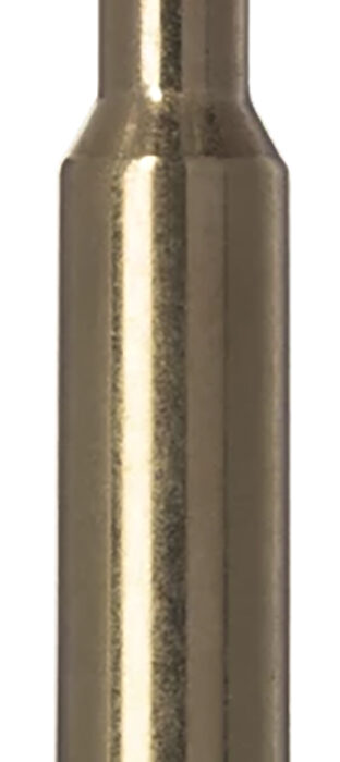 Norma Ammunition 20177772  Ecostrike 300PRC 165gr 20 Per Box/10 Case