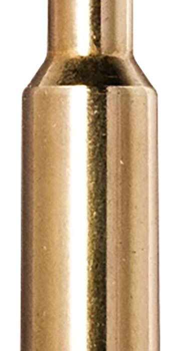 Norma Ammunition 20177512  Ecostrike 300WSM 165gr 20 Per Box/10 Case