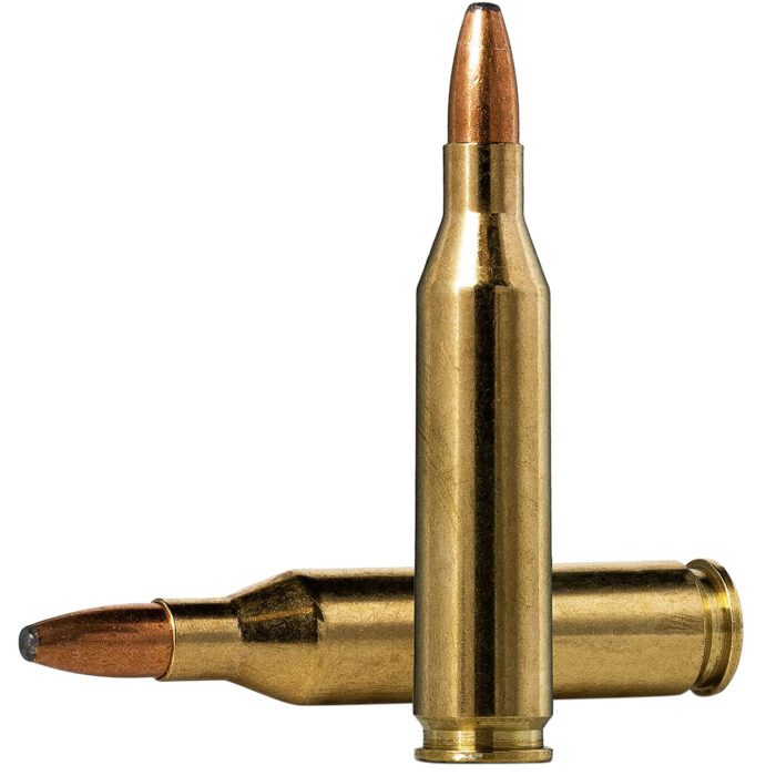 Norma Ammunition 20160332 Oryx  243Win 100gr 20 Per Box/10 Case