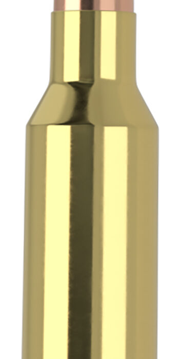 Nosler 61035   300WSM 165gr Ballistic Tip 20 Per Box/10 Case