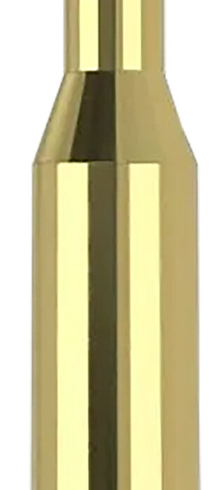 Nosler 40041   243Win 70gr Ballistic Tip Varmint 20 Per Box/10 Case