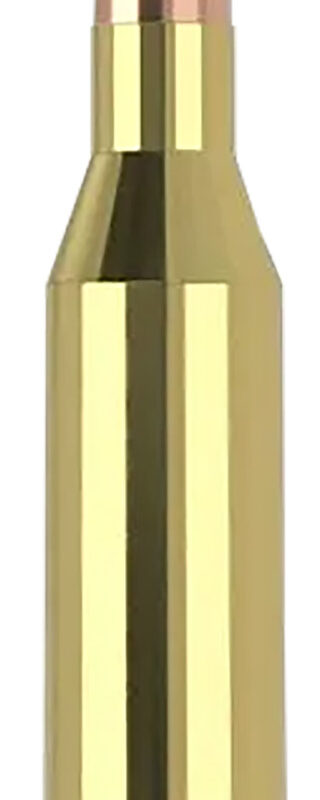 Nosler 40041   243Win 70gr Ballistic Tip Varmint 20 Per Box/10 Case