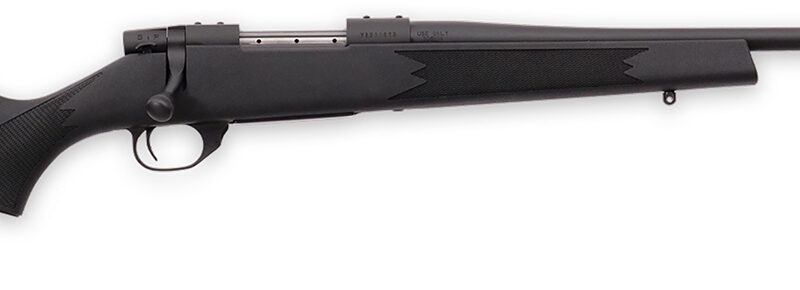 Weatherby VYT243NR0T Vanguard Synthetic Compact 243 Win 5+1 20" Matte Blued #1 Threaded Barrel, Matte Blued Drilled & Tapped Steel Receiver, Black Adjustable Synthetic Stock