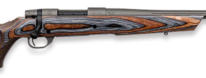 Weatherby VHB223RR0T Vanguard Spike Camp 223 Rem 5+1 20" Tungsten Gray Cerakote #3 Fluted Threaded Barrel, Tungsten Gray Cerakote Drilled & Tapped Steel Receiver, Boyd's Fixed Thumbhole Laminate Stock