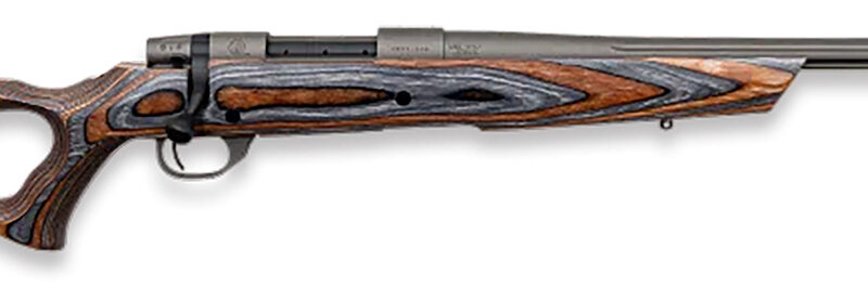 Weatherby VHB223RR0T Vanguard Spike Camp 223 Rem 5+1 20" Tungsten Gray Cerakote #3 Fluted Threaded Barrel, Tungsten Gray Cerakote Drilled & Tapped Steel Receiver, Boyd's Fixed Thumbhole Laminate Stock