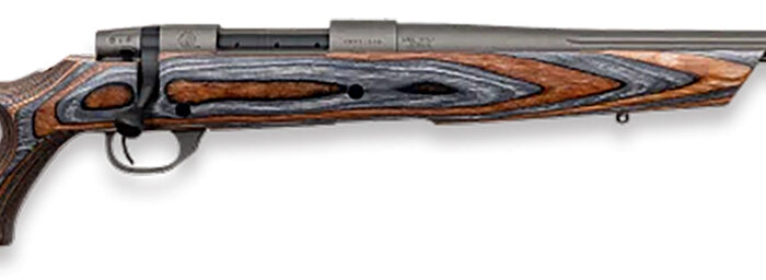 Weatherby VHB308NR0T Vanguard Spike Camp 308 Win 5+1 20" Tungsten Gray Cerakote #3 Fluted Threaded Barrel, Tungsten Gray Cerakote Drilled & Tapped Steel Receiver, Boyd's Fixed Thumbhole Laminate Stock