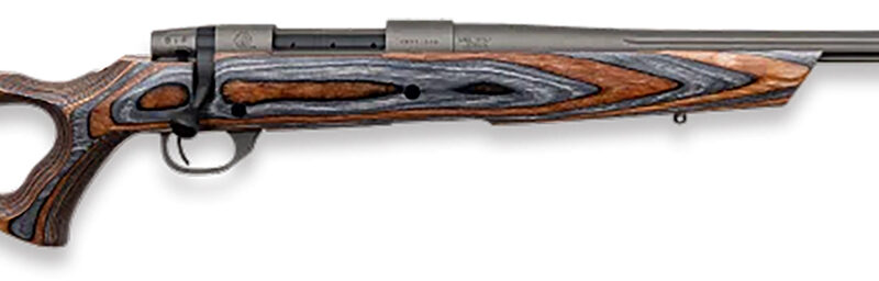 Weatherby VHB308NR0T Vanguard Spike Camp 308 Win 5+1 20" Tungsten Gray Cerakote #3 Fluted Threaded Barrel, Tungsten Gray Cerakote Drilled & Tapped Steel Receiver, Boyd's Fixed Thumbhole Laminate Stock