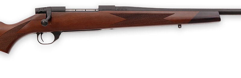 Weatherby VDT243NR2T Vanguard Sporter Full Size 243 Win 5+1 22" Bead Blasted Blued #2 Threaded Barrel, Matte Blued Drilled & Tapped Steel Receiver, Grade A Walnut Monte Carlo Stock