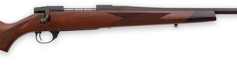 Weatherby VDT257WR4T Vanguard Sporter Full Size 257 Wthby Mag 3+1  24" Bead Blasted Blued #2 Threaded Barrel, Matte Blued Drilled & Tapped Steel Receiver, Grade A Turkish Walnut Monte Carlo Stock