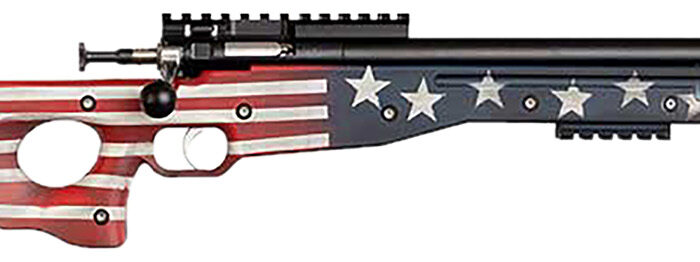 Crickett KSA2150-OG Precision  Full Size 22 LR Single Shot 16.10" Blued Threaded Bull Barrel, Blued Crickettinny Rail Steel Receiver, Old Glory Synthetic Adj LOP Stock