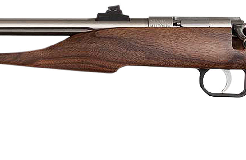 Chipmunk 40101 Hunter  Youth Frame 22 S/L/LR Single Shot 9" Threaded Stainless Steel Barrel, Walnut Frame, EZ Loader