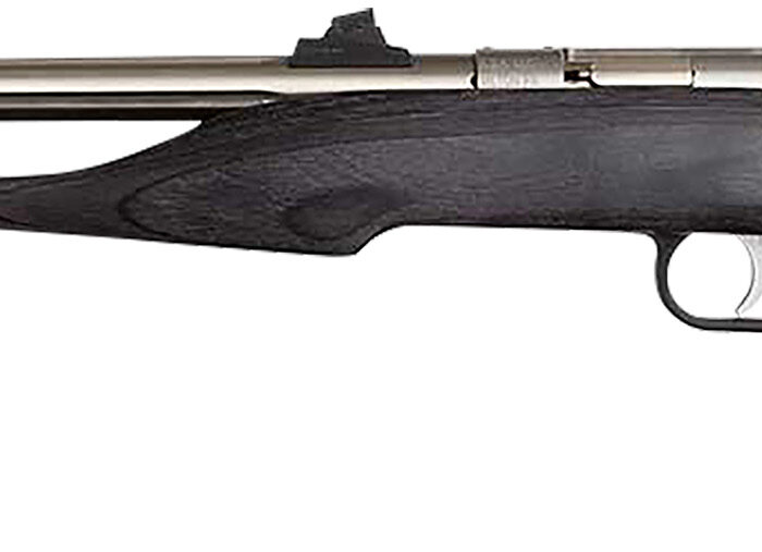 Chipmunk 40103 Hunter  Youth Frame 22 LR Single Shot 9" Threaded Stainless Steel Barrel, Black Laminate Frame