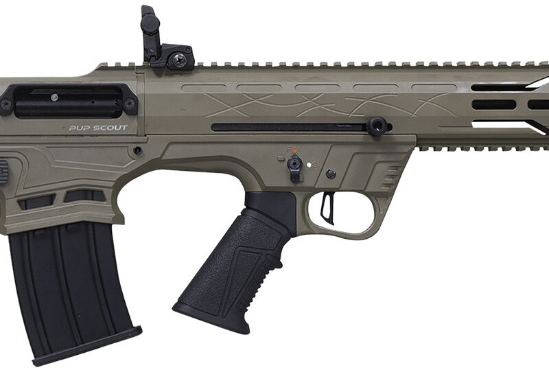 CIT FRPS1218FDE    PUP SCOUT 12G 3" 18.5    5R FDE