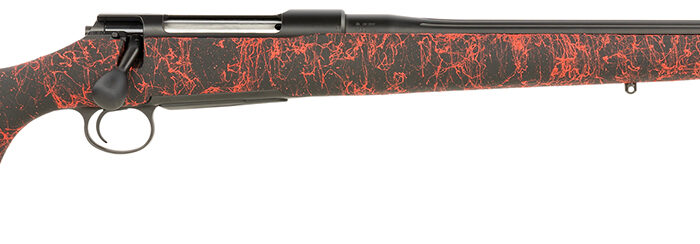 SAUER 80118101     100 PANTERA     65CRD H-S STOCK