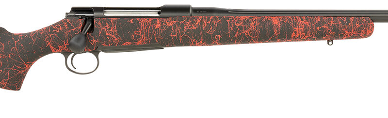SAUER 80118101     100 PANTERA     65CRD H-S STOCK